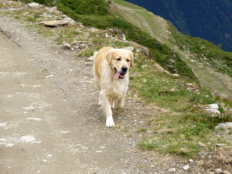 Anouk auf "Wanderschaft"